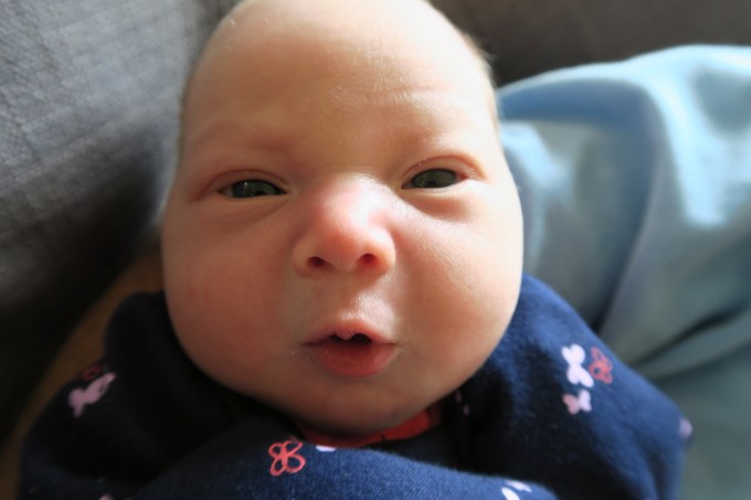 Dear Holly: You Were Born on April 24, 2016