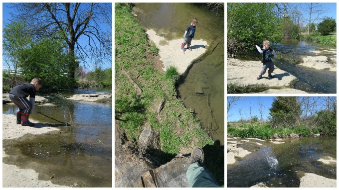 The Quicksand (Mud) at McCutcheon Creek