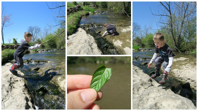 The Quicksand (Mud) at McCutcheon Creek