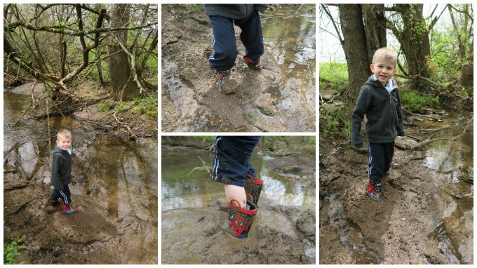 The Quicksand (Mud) at McCutcheon Creek