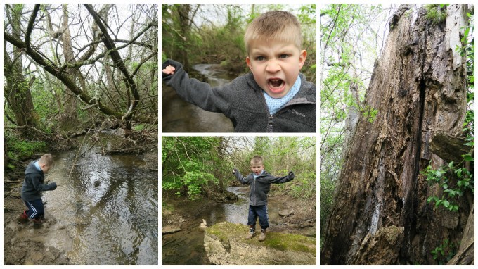The Quicksand (Mud) at McCutcheon Creek