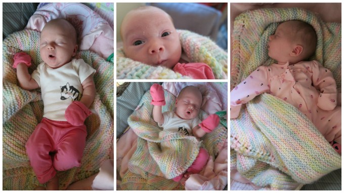 Dear Holly: Your Pennsylvania Cousins “Adopted” You and Your Brother for the Weekend