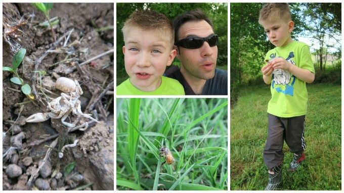 Dear Jack: Bug Hunting, Base Jumping, & Saying Goodbye to Grandma