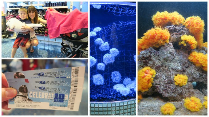 Dear Jack: Our Trip to the Atlanta Aquarium