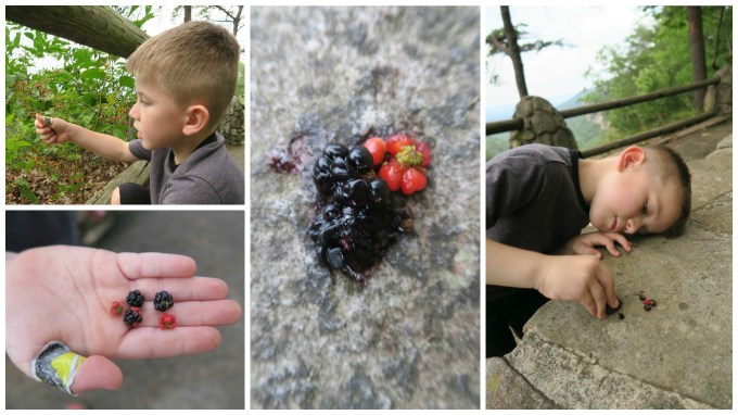 Dear Jack: Our 1st Father and Son Road Trip- Cloudland Canyon State Park (in the 2016 Lexus ES 300h Hybrid)