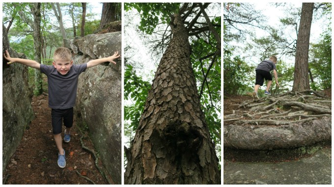Dear Jack: Our 1st Father and Son Road Trip- Cloudland Canyon State Park (in the 2016 Lexus ES 300h Hybrid)