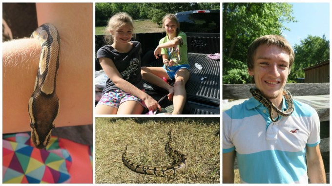 Dear Jack: It’s the Barn Wedding Where You Can Catch a Fish and Hold a Snake!