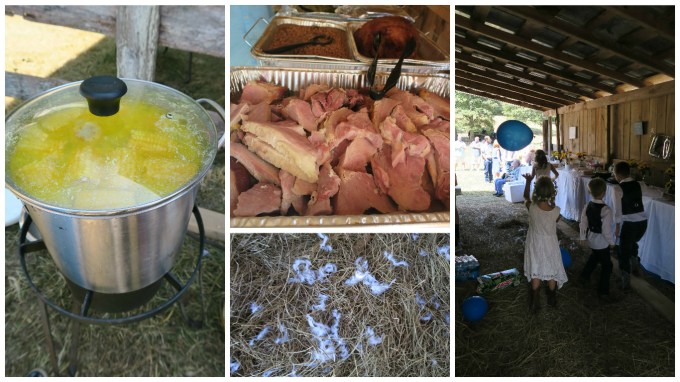 Dear Jack: It’s the Barn Wedding Where You Can Catch a Fish and Hold a Snake!