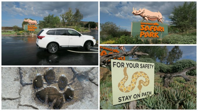Dear Jack: Our Visit to the San Diego Zoo Safari Park (San Diego Vacation/2016 Mitsubishi Outlander)