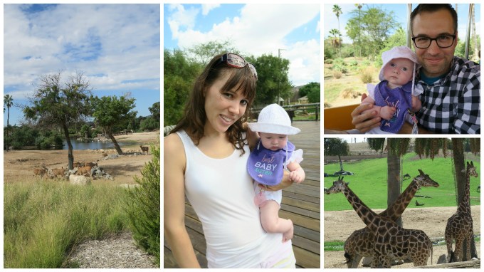 Dear Jack: Our Visit to the San Diego Zoo Safari Park (San Diego Vacation/2016 Mitsubishi Outlander)