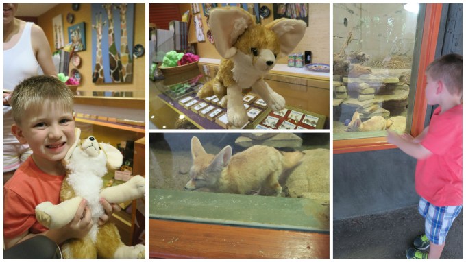 Dear Jack: Our Visit to the San Diego Zoo Safari Park (San Diego Vacation/2016 Mitsubishi Outlander)