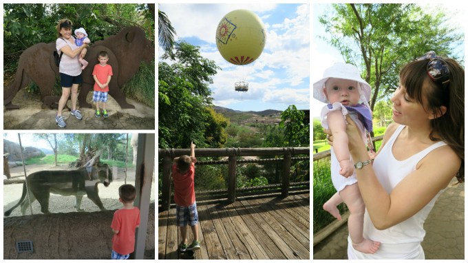 Dear Jack: Our Visit to the San Diego Zoo Safari Park (San Diego Vacation/2016 Mitsubishi Outlander)