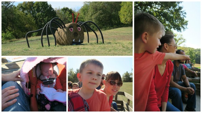 Dear Jack: Our Family Went to Walden Farm Pumpkin Patch