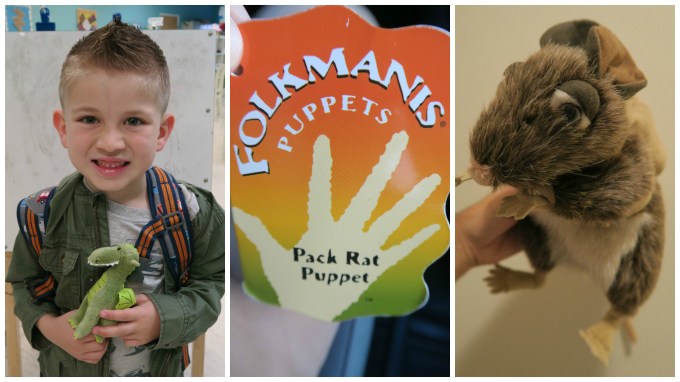 Dear Jack: You Correctly Spelled “Pack Rat Puppet”… Just Because You Can